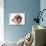 Dachshund Looking Away-Ted Horowitz-Photographic Print displayed on a wall