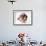 Dachshund Looking Away-Ted Horowitz-Framed Photographic Print displayed on a wall