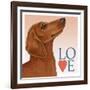 Dachshund Love-Tomoyo Pitcher-Framed Giclee Print