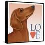 Dachshund Love-Tomoyo Pitcher-Framed Stretched Canvas