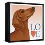 Dachshund Love-Tomoyo Pitcher-Framed Stretched Canvas