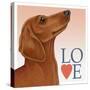 Dachshund Love-Tomoyo Pitcher-Stretched Canvas