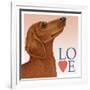 Dachshund Love-Tomoyo Pitcher-Framed Giclee Print