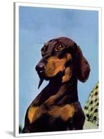 "Dachshund,"May 14, 1938-Ivan Dmitri-Stretched Canvas