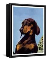 "Dachshund,"May 14, 1938-Ivan Dmitri-Framed Stretched Canvas