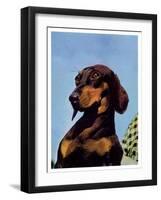 "Dachshund,"May 14, 1938-Ivan Dmitri-Framed Giclee Print