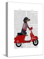 Dachshund on a Moped-Fab Funky-Stretched Canvas