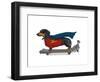 Dachshund On Skateboard-Fab Funky-Framed Art Print