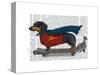 Dachshund On Skateboard-Fab Funky-Stretched Canvas