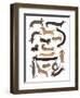 Dachshund Print-Hanna Melin-Framed Giclee Print