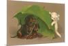 Dachshund Puppies Under Umbrella with Kitten-null-Mounted Premium Giclee Print