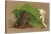 Dachshund Puppies Under Umbrella with Kitten-null-Stretched Canvas