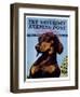 "Dachshund," Saturday Evening Post Cover, May 14, 1938-Ivan Dmitri-Framed Giclee Print