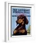 "Dachshund," Saturday Evening Post Cover, May 14, 1938-Ivan Dmitri-Framed Giclee Print