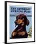 "Dachshund," Saturday Evening Post Cover, May 14, 1938-Ivan Dmitri-Framed Giclee Print