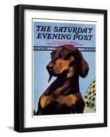 "Dachshund," Saturday Evening Post Cover, May 14, 1938-Ivan Dmitri-Framed Giclee Print