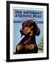 "Dachshund," Saturday Evening Post Cover, May 14, 1938-Ivan Dmitri-Framed Giclee Print