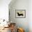 Dachshund Silhouette-NancyShumaker Pallan-Framed Art Print displayed on a wall