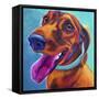 Dachshund - Turquoise-Dawgart-Framed Stretched Canvas