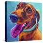 Dachshund - Turquoise-Dawgart-Stretched Canvas