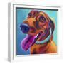 Dachshund - Turquoise-Dawgart-Framed Giclee Print