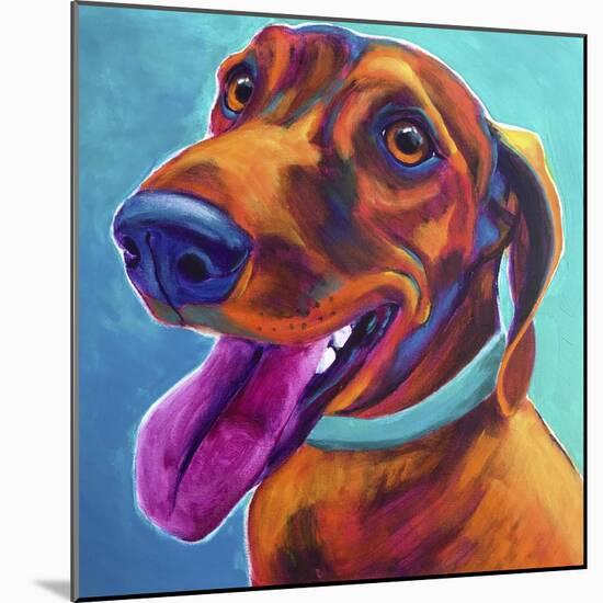 Dachshund - Turquoise-Dawgart-Mounted Giclee Print