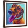 Dachshund - Turquoise-Dawgart-Framed Giclee Print