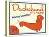 Dachshund Wieners-Brian Rubenacker-Stretched Canvas