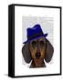 Dachshund with Blue Trilby-Fab Funky-Framed Stretched Canvas