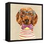 Dachshund with Fashion Glasses-Jin Jing-Framed Stretched Canvas