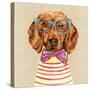 Dachshund with Fashion Glasses-Jin Jing-Stretched Canvas