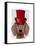 Dachshund with Red Top Hat and Moustache-Fab Funky-Framed Stretched Canvas