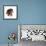 Dachshund x Yorkshire terrier puppy, aged 10 weeks-Mark Taylor-Framed Photographic Print displayed on a wall