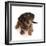 Dachshund x Yorkshire terrier puppy, aged 10 weeks-Mark Taylor-Framed Photographic Print