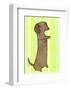 Dachshund-My Zoetrope-Framed Art Print