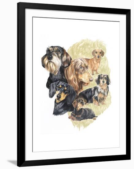 Dachshund-Barbara Keith-Framed Giclee Print