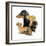 Dachshund-Barbara Keith-Framed Giclee Print