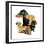 Dachshund-Barbara Keith-Framed Giclee Print