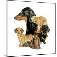 Dachshund-Barbara Keith-Mounted Giclee Print