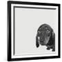 Dachshund-Emily Burrowes-Framed Premium Giclee Print