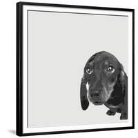 Dachshund-Emily Burrowes-Framed Premium Giclee Print