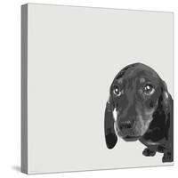 Dachshund-Emily Burrowes-Stretched Canvas