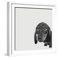 Dachshund-Emily Burrowes-Framed Art Print