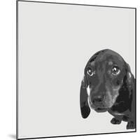 Dachshund-Emily Burrowes-Mounted Art Print