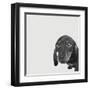 Dachshund-Emily Burrowes-Framed Art Print