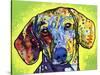 Dachshund-Dean Russo-Stretched Canvas