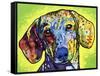 Dachshund-Dean Russo-Framed Stretched Canvas