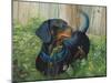 Dachshund-Tiffany Hakimipour-Mounted Art Print