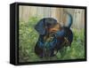 Dachshund-Tiffany Hakimipour-Framed Stretched Canvas