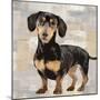 Dachshund-Keri Rodgers-Mounted Art Print